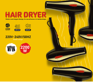 Professional Hair Dryer 1343 – Fast & Salon-Quality Styling Ionic Hair Dryer Fahad Haider 